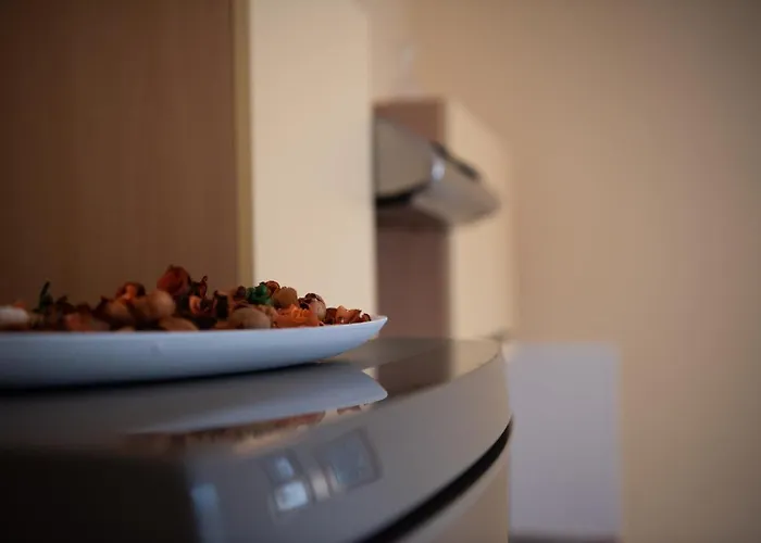 Clementina Appartement Premantura