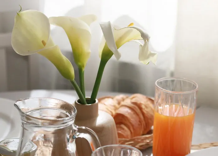 Clementina Premantura